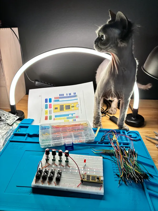 Breadboard prototype of Ettin with a Daisy Seed, a printed pinout, and a hairless cat standing on the bench looking away